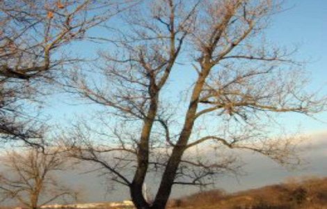 Prognoza meteo: Starea vremii la sfarsitul saptamanii