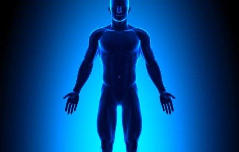 O noua specie umana va aparea pana in 2050