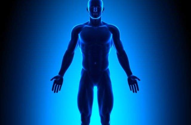 O noua specie umana va aparea pana in 2050