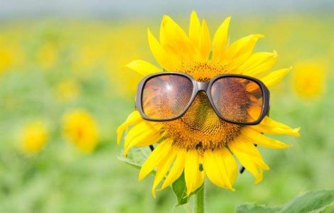  Top  REMEDII la indemana oricui pentru rezolvarea problemelor zilnice