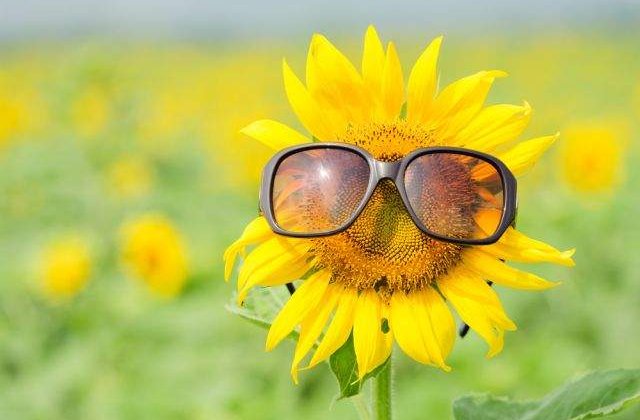 Top 10 REMEDII la indemana oricui pentru rezolvarea problemelor zilnice