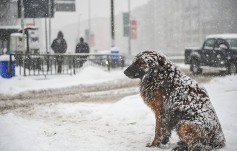 Prognoza meteo ANM pentru weekendul 21 - 22 ianuarie. Vremea se schimbă radical