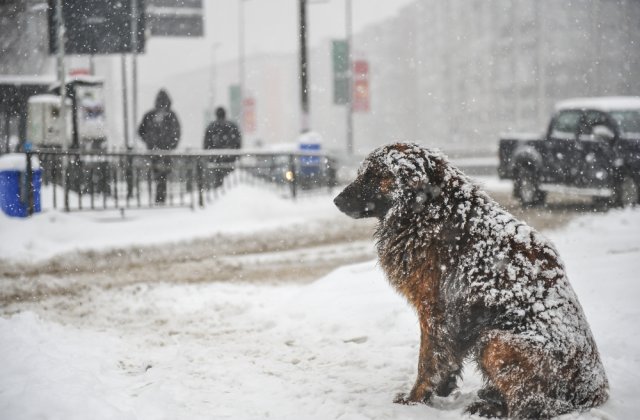 Prognoza meteo ANM pentru weekendul 21 - 22 ianuarie. Vremea se schimbă radical