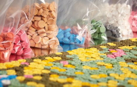 VIDEO Aproape un kilogram de droguri a fost găsit în Pădurea Băneasa, lângă Academia de Poliție