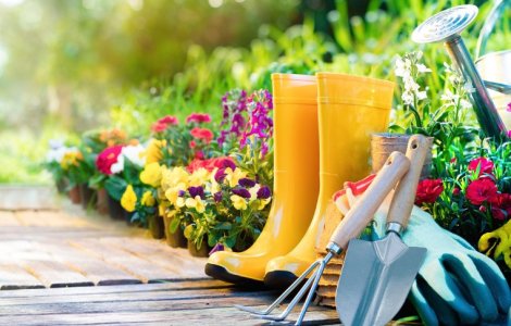 Echipamentele esențiale de care aveți nevoie pentru întreținerea adecvată a grădinii și a fermei