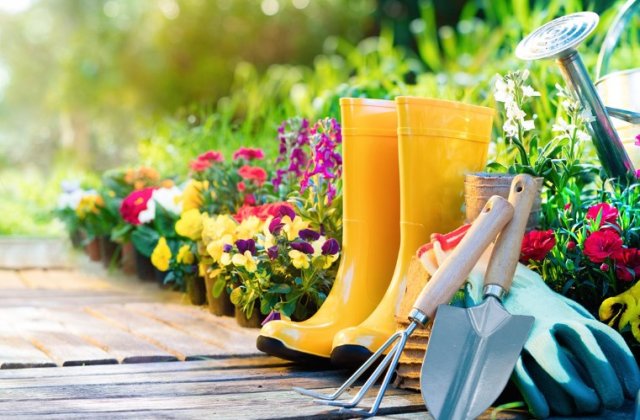 Echipamentele esențiale de care aveți nevoie pentru &icirc;ntreținerea adecvată a grădinii și a fermei