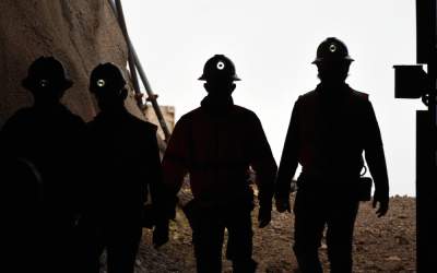 Verificări la sânge după...