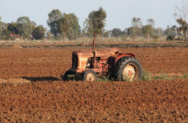 Fermierii vor primi in octombrie jumatate din subventiile pe suprafata