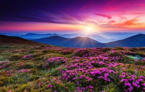  Top   Foto  Cum arata RAIUL in viziunea diferitelor religii