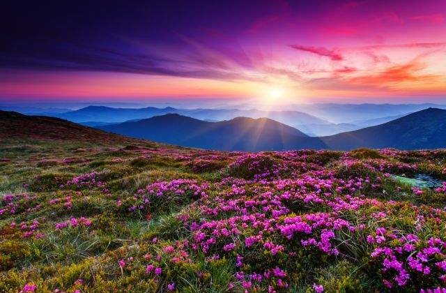 [FOTO] Cum arata RAIUL in viziunea diferitelor religii