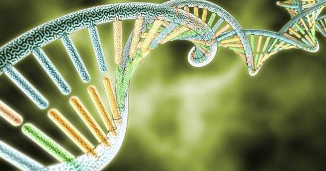 Europenii moderni au o structura genetica complexa