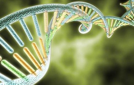 Europenii moderni au o structura genetica complexa