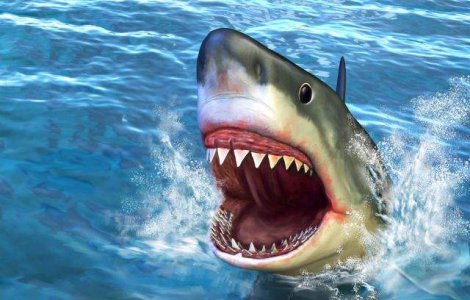  Top   Foto  TOP 10 animale care OMOARA cei mai multi oameni