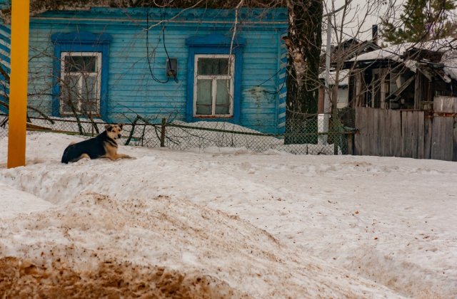 Prognoza meteo ANM pentru joi, 26 ianuarie. Unde sunt anunțate ninsori