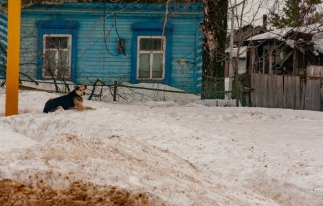 Prognoza meteo ANM pentru joi, 26 ianuarie. Unde sunt anunțate ninsori