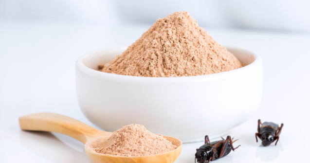 Făina de greiere, în magazinele din România. Cât costă un kilogram