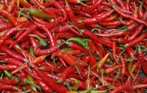 Ardei de 200 de ori mai iuti decat cei obisnuti, obtinuti de buzoieni