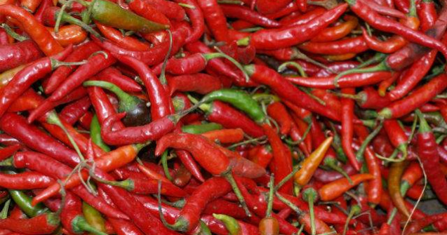 Ardei de 200 de ori mai iuti decat cei obisnuti, obtinuti de buzoieni