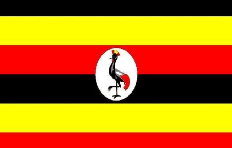 Prezervativele vandute in Uganda, mult prea mici pentru locuitori