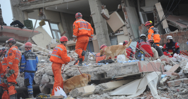 Peste 24.000 de morți în urma cutremurelor din Turcia și Siria