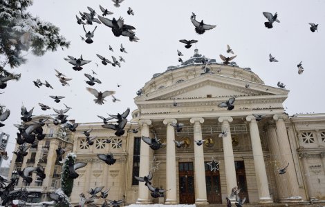 Prognoza meteo - 13 februarie 2023. Vremea se încălzește ușor