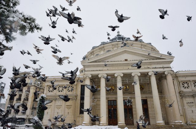 Prognoza meteo - 13 februarie 2023. Vremea se &icirc;ncălzește ușor, temperaturile vor ajunge p&acirc;nă la 15 grade Celsius.