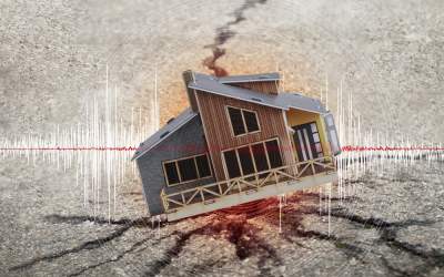 Cutremurul de 5,2 din Gorj...