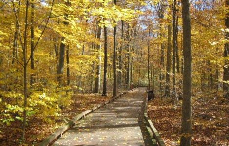 Prognoza meteo: Cum va fi vremea in urmatoarele trei luni