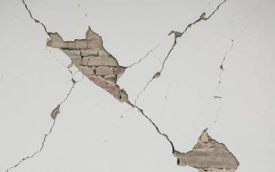 Peste 540 de replici ale...