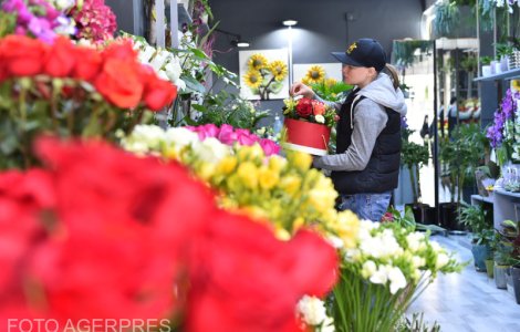 Au început pregătirile pentru Dragobete. Florile, mai scumpe cu 30% în această perioadă: „Cred că ajunge undeva între 400-450 de lei”