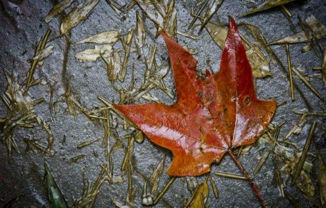  Top  Prognoza meteo: Cum va fi vremea in urmatoarele doua saptamani