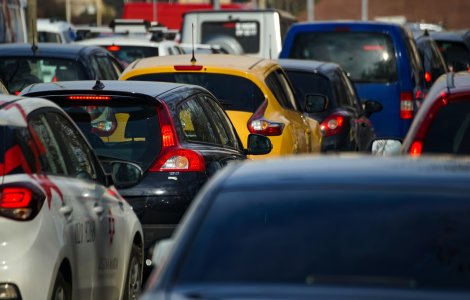 Rovinieta ar urma să se scumpească cu 40%, începând din 2026