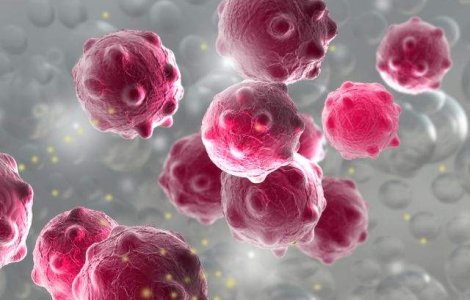 A fost inaugurata prima "gradina zoologica" dedicata microbilor