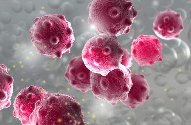 A fost inaugurata prima "gradina zoologica" dedicata microbilor