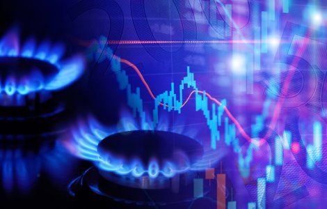 Ucraina va cumpăra gaze în comun cu ţările Uniunii Europene