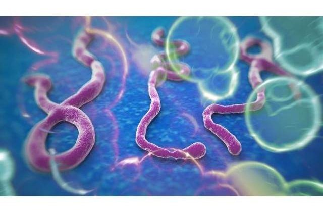 Noul bilant al OMS: Epidemia de Ebola s-a soldat cu 3.338 de morti in Africa de Vest