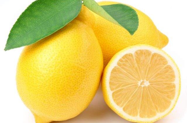 Te ajuta in orice situatie! Zece intrebuintari UIMITOARE ale lamaii