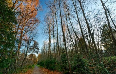  Top  Prognoza meteo: Cum va fi vremea in urmatoarele doua saptamani