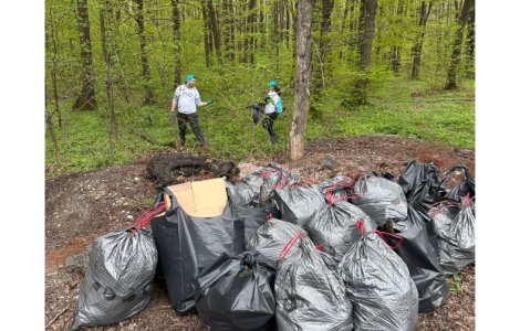 Curățenia de Paște în pădurea Lucianca - o inițiativă Sarantis România împreună cu Let’s Do It România  