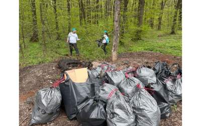 Curățenia de Paște în pădurea...