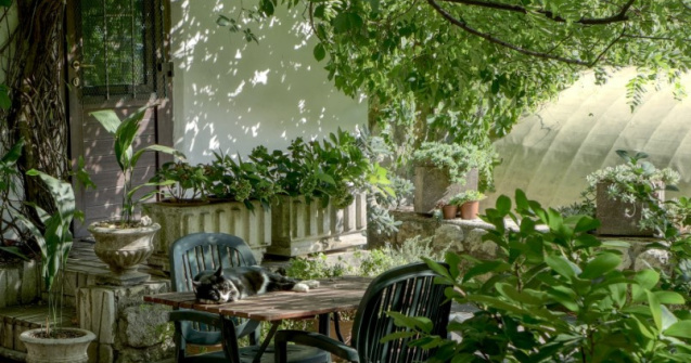 Cum să îți transformi grădina într-o oază de liniște