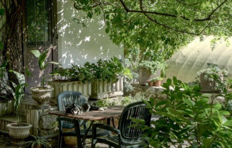 Cum să îți transformi grădina într-o oază de liniște