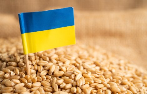 Scandalul cerealelor ucrainene. România caută un plan să împace și fermierii, și Comisia Europeană