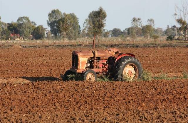 Tanczos Barna: Interdictia ANSVSA, o lovitura foarte dura la adresa fermierilor