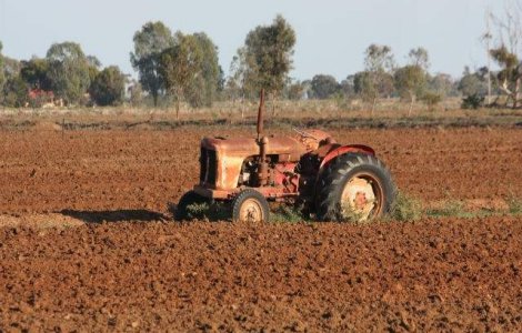 Tanczos Barna: Interdictia ANSVSA, o lovitura la adresa fermierilor