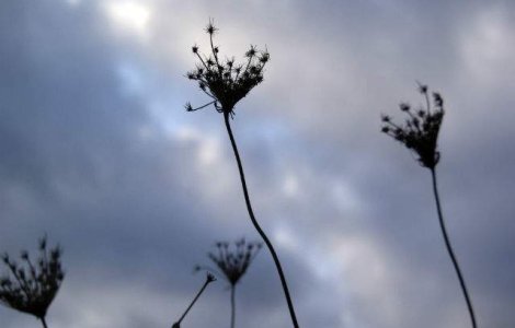 Prognoza meteo: Vremea la inceputul saptamanii