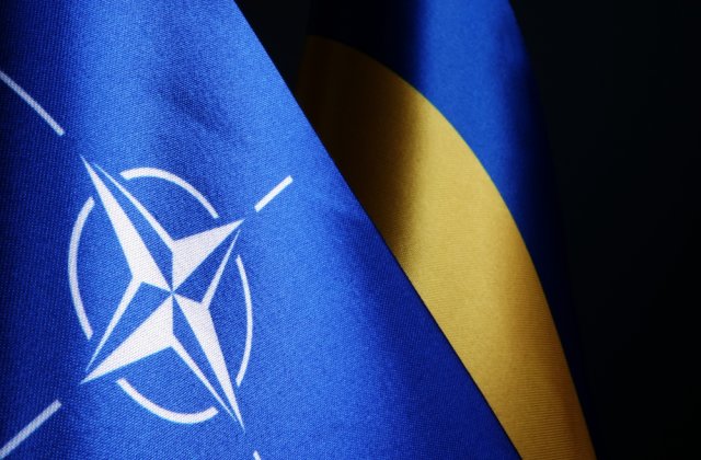 Ucraina a aderat la Centrul Cooperativ de Excelenţă al Apărării Cibernetice al NATO