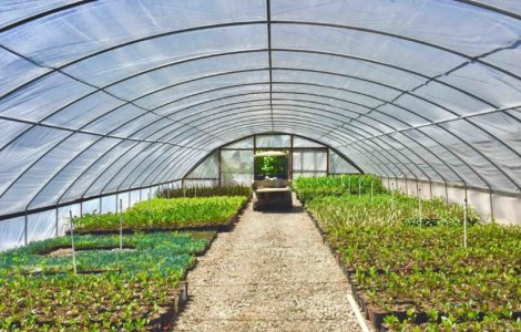 De ce produse avem nevoie pentru a obține recolte bogate în propria grădină?