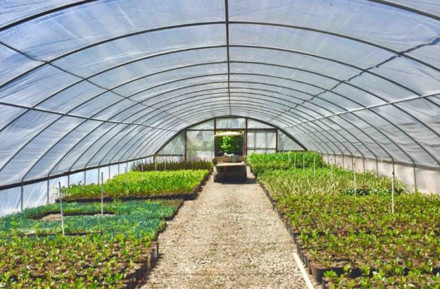 De ce produse avem nevoie pentru a obține recolte bogate &icirc;n propria grădină?