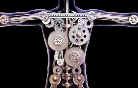  Top  Mai avem nevoie de ele? TOP 10 organe pe care nu le mai folosim